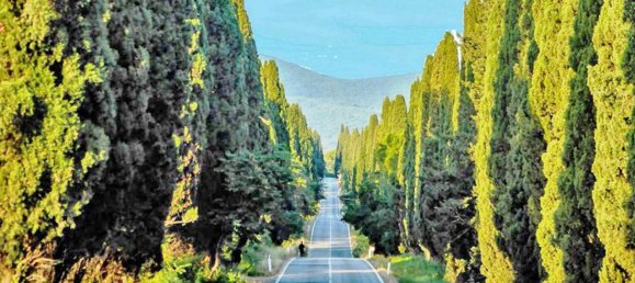 8 bedrooms House in Castagneto Carducci, Italy No. 377987 41