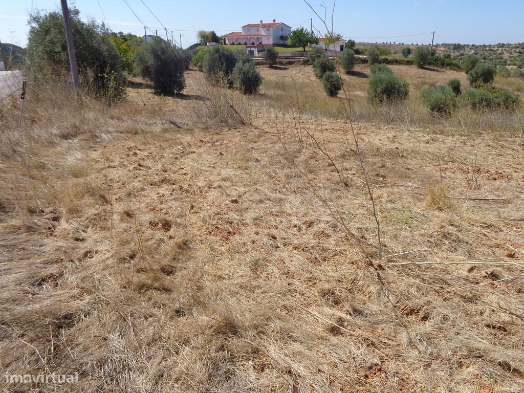 Земельный участок 19560м² в Томар, Португалия № 203897