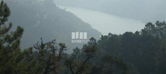 8500m² Land in Marco de Canaveses, Portugal No. 61809 5