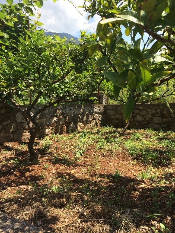  Land in Bar, Montenegro No. 408