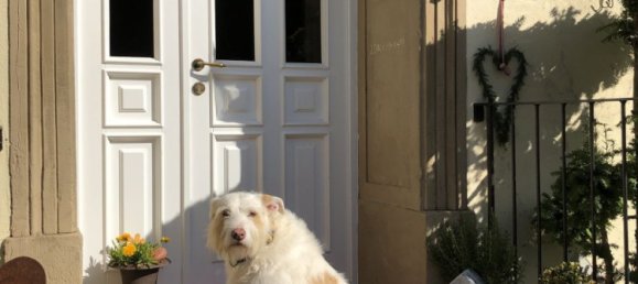 9 Schlafzimmer Haus in Birkenfeld, Germany, Nr. 182911 12