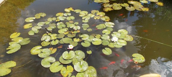 9 Schlafzimmer Haus in Birkenfeld, Germany, Nr. 182911 35