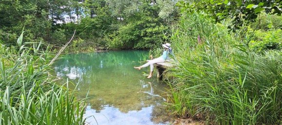 Дом с 15 комнатами в Филлах, Австрия № 218433 6