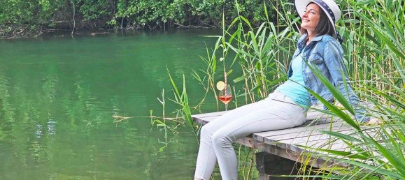 Дом с 15 комнатами в Филлах, Австрия № 218433 2