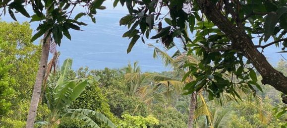 Земельный участок 4400м² в Lovina, Индонезия № 4304 7