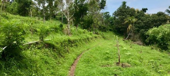 Земельный участок 4400м² в Lovina, Индонезия № 4304 11