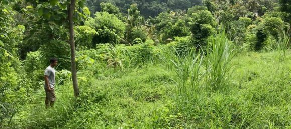 Земельный участок 4400м² в Lovina, Индонезия № 4304 9