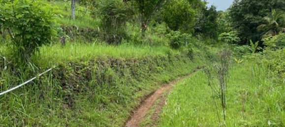 Земельный участок 4400м² в Lovina, Индонезия № 4304 6