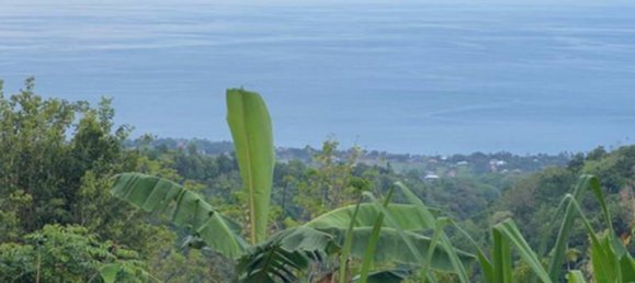 Земельный участок 4400м² в Lovina, Индонезия № 4304 8