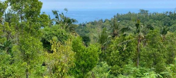 Земельный участок 4400м² в Lovina, Индонезия № 4304 12