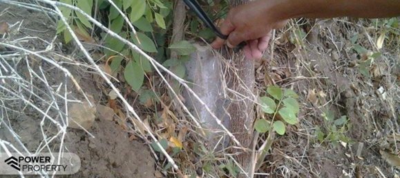 Земельный участок 4400м² в Lovina, Индонезия № 4304 14