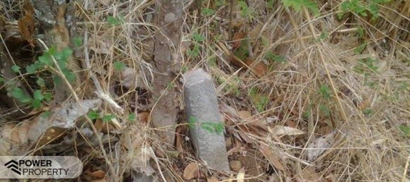 Земельный участок 4400м² в Lovina, Индонезия № 4304 10