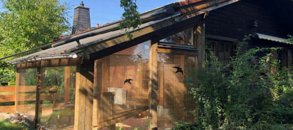 2 غرف نوم منزل في Darmstadt-Dieburg, Germany رقم 352284 15