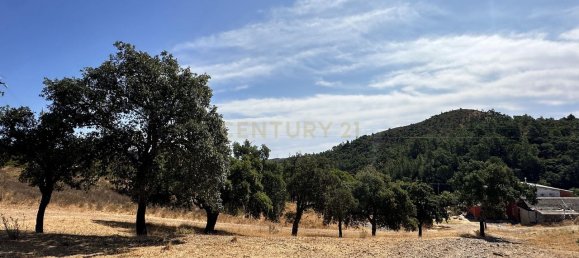 Grundstück in Sao Bras de Alportel, Portugal 208m², Nr. 353860 19