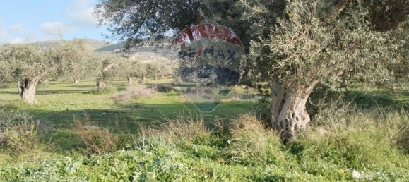 Terreno em Comiso, Italy 12000 m² N.º 55864 14