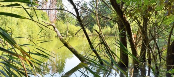 Дом с 4 комнатами в Штегерсбах, Австрия № 13302 6