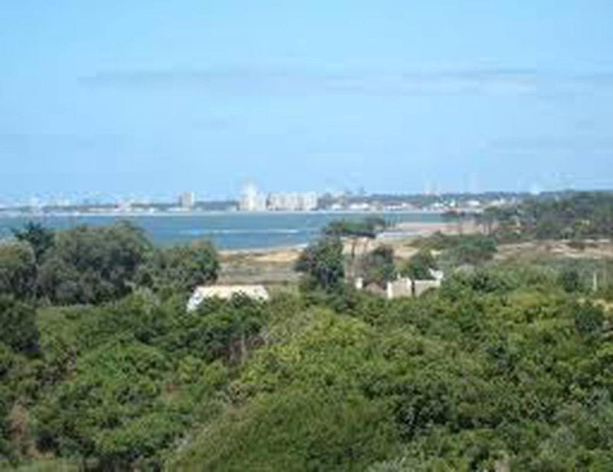 Grundstück in Maldonado, Uruguay, Nr. 15214