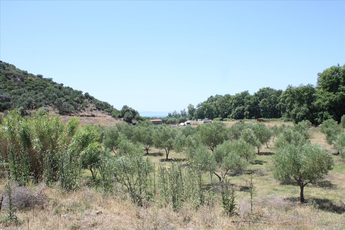 Hotel em Chalkidiki, Greece 8000 m² N.º 6649
