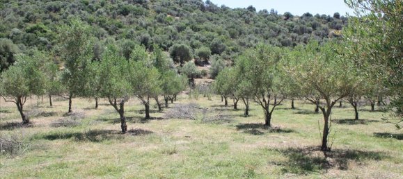 8000m² Hotel in Chalkidiki, Greece No. 6649 3