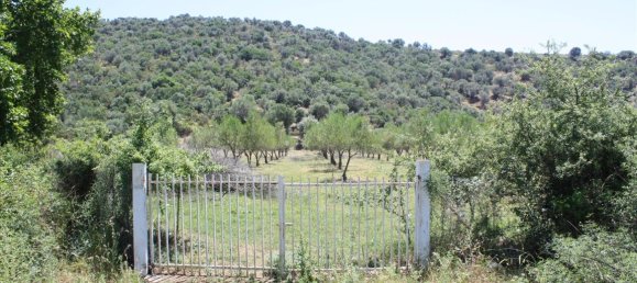 8000m² Hotel in Chalkidiki, Greece No. 6649 5