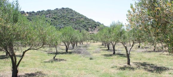 8000m² Hotel in Chalkidiki, Greece No. 6649 2