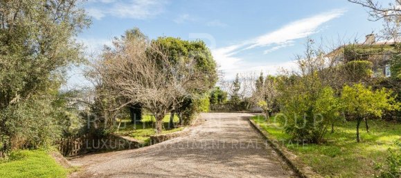 5 bedrooms House in Coimbra, Portugal No. 128713 29
