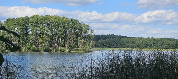 Terrain à Oberhavel, Germany No. 353199 4