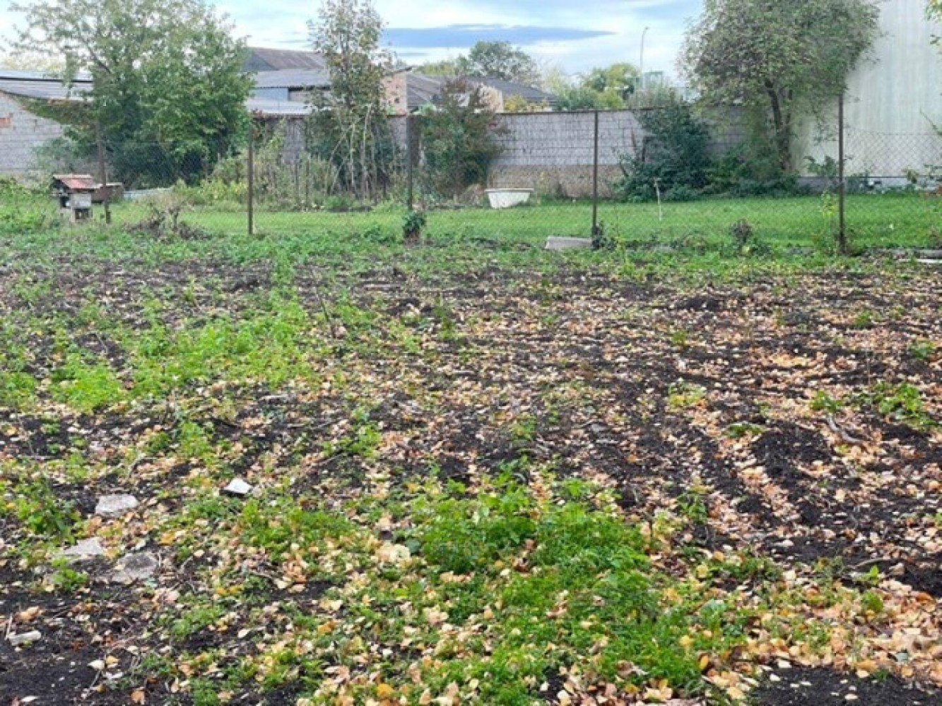 733m² Land in Gols, Austria No. 257549