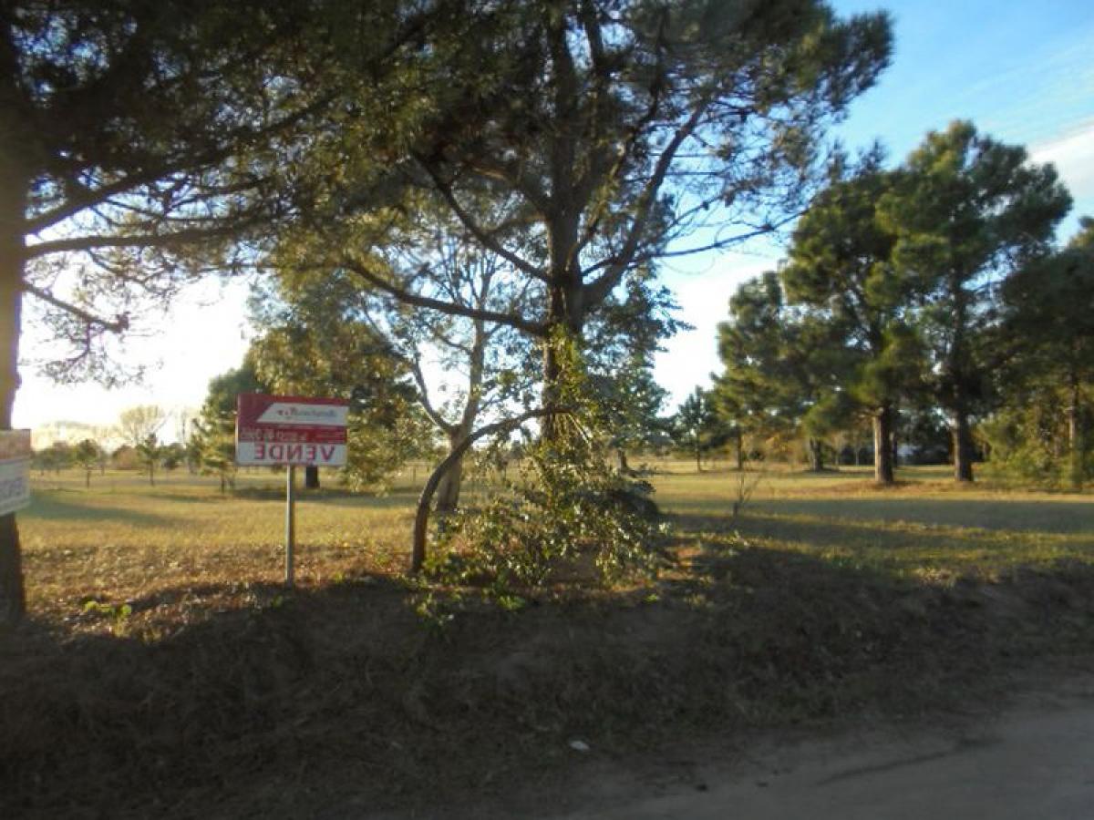  Land in Mar del Plata, Argentina No. 110944