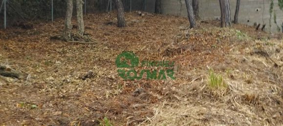 801m² Land in Lloret de Mar, Spain No. 20117 4