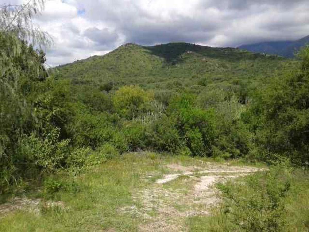 Gewerbliche Immobilie in Cordoba, Argentina, Nr. 27881