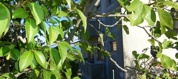 5 bedrooms House in Fermo, Italy No. 79713 9