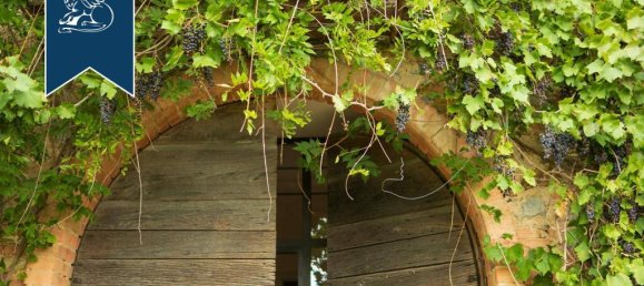 6 bedrooms Commercial property in Gavorrano, Italy No. 362925 14