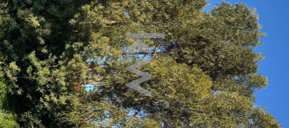 1400m² Land in Cascais, Portugal No. 121019 14