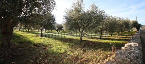 Grundstück in Martina Franca, Italy 13000m², Nr. 343012 4