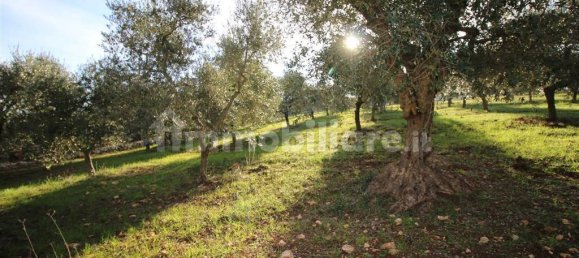 Grundstück in Martina Franca, Italy 13000m², Nr. 343012 5