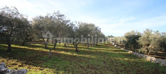 Grundstück in Martina Franca, Italy 13000m², Nr. 343012 3