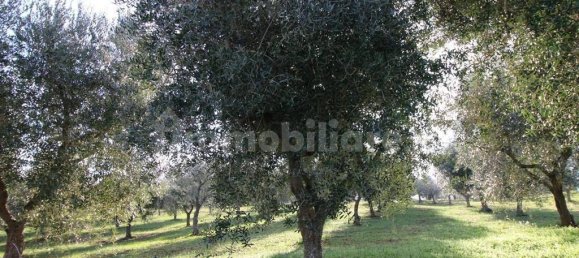 Grundstück in Martina Franca, Italy 13000m², Nr. 343012 8