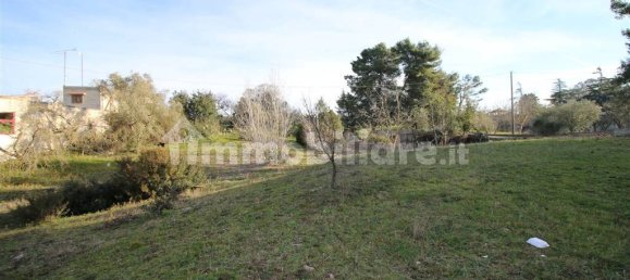 Grundstück in Martina Franca, Italy 13000m², Nr. 343012 9