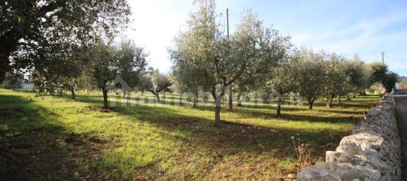 Grundstück in Martina Franca, Italy 13000m², Nr. 343012 7