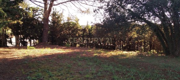 Grundstück in Sant Pere de Vilamajor, Spain 1254m², Nr. 157603 12