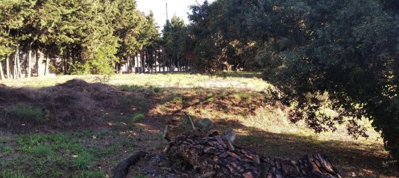 Grundstück in Sant Pere de Vilamajor, Spain 1254m², Nr. 157603 13