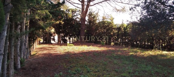 Grundstück in Sant Pere de Vilamajor, Spain 1254m², Nr. 157603 8