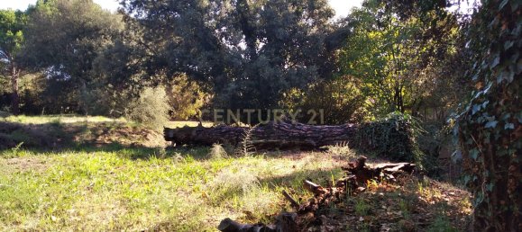 Grundstück in Sant Pere de Vilamajor, Spain 1254m², Nr. 157603 14