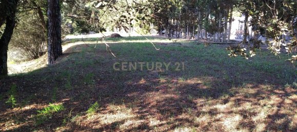 Grundstück in Sant Pere de Vilamajor, Spain 1254m², Nr. 157603 6