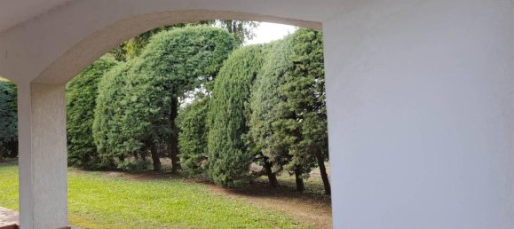 10 rooms House in Magliano in Toscana, Italy No. 21537 14