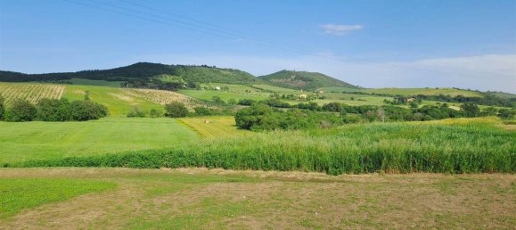 10 rooms House in Magliano in Toscana, Italy No. 21537 11