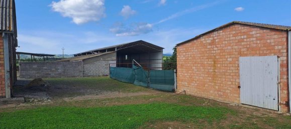 10 rooms House in Magliano in Toscana, Italy No. 21537 12