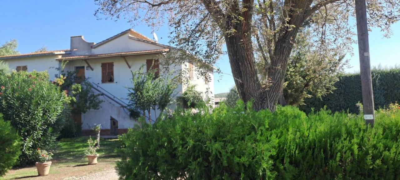 10 rooms House in Magliano in Toscana, Italy No. 21537