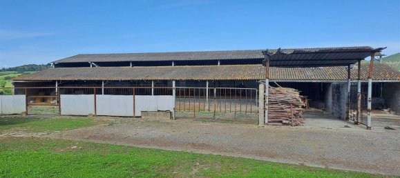 10 rooms House in Magliano in Toscana, Italy No. 21537 8